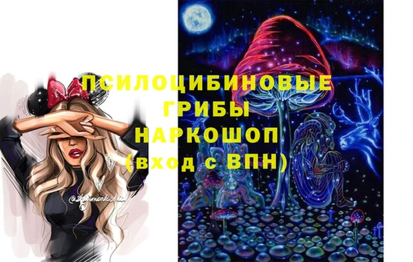 PSILOCYBIN Балахна