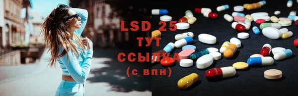 PSILOCYBIN Балахна