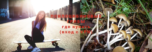 мяу мяу мука Балабаново