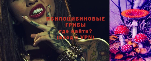 PSILOCYBIN Балахна