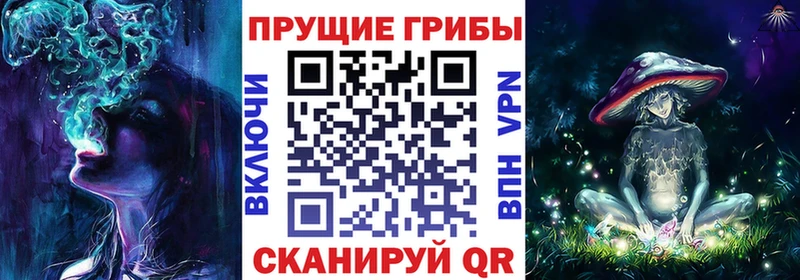 Галлюциногенные грибы Psilocybe купить закладку Семилуки