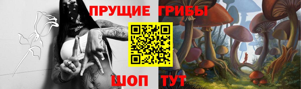 Псилоцибиновые грибы мицелий  Галлюциногенные грибы ЛСД  Семилуки  Вход с VPN 