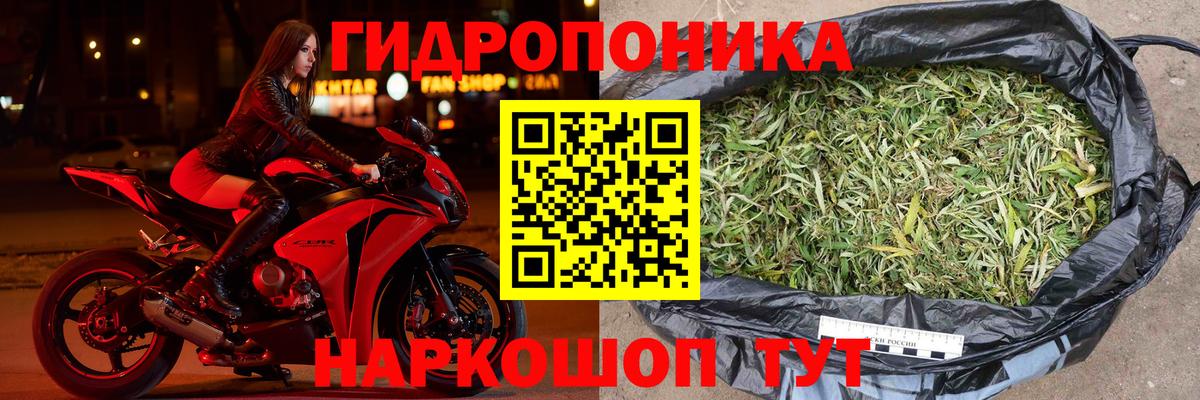 Семилуки  МАРИХУАНА планчик  Марихуана тримм  Конопля конопля  Вход с VPN  Каннабис OG Kush 
